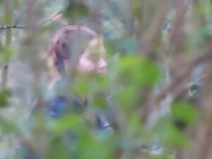 男は茶色の髪をしていますが、それは本当で ...