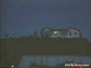 セキュリティは性を罰する。 女性 専用  ...