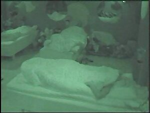 太った男はお尻の中で手足を取る。 女 動 ...