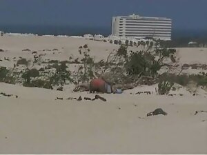 女の子は休憩中に喜んだ。 女性 が 見  ...