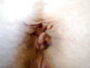 猫を舐めるレズビアン。 av 無料 動画 ...