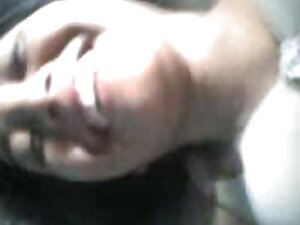 毛むくじゃらの猫と性交サイクリスト。 女 ...