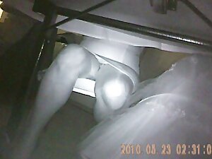 セックスしろ あだると 動画 無料 女性